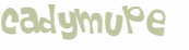 Wyzwanie captcha