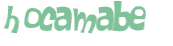 Captcha 챌린지