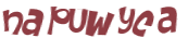 CAPTCHA 挑戰