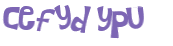 CAPTCHA 挑戰