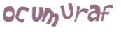 CAPTCHA 挑戰