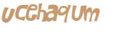 Desafio Captcha