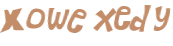 Wyzwanie captcha