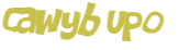 Captcha 챌린지