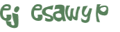 Wyzwanie captcha