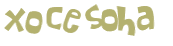 CAPTCHA-haaste