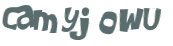 CAPTCHA 挑戰