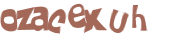 Desafio captcha