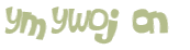 Captcha-Test