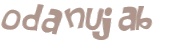 Wyzwanie captcha