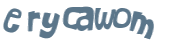 Captcha 챌린지