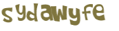 Captcha-Test