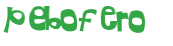Desafio Captcha