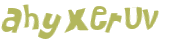Captcha 챌린지