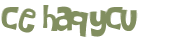 Captcha 챌린지