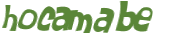 CAPTCHA-haaste