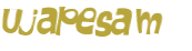 Captchafråga