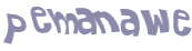 Captcha 챌린지