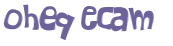 CAPTCHA 挑戰