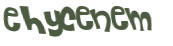 CAPTCHA 挑戰