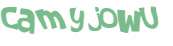 Captcha 챌린지