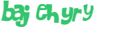 Captcha 챌린지