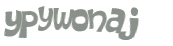 Captcha 챌린지
