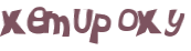 CAPTCHA 挑戰