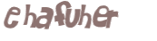 Desafio Captcha