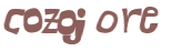 CAPTCHA 挑戰