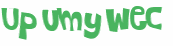 Wyzwanie captcha