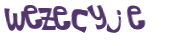 CAPTCHA 挑戰