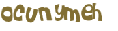 CAPTCHA 挑戰