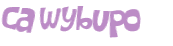 Captcha challenge