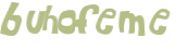 Captcha 챌린지