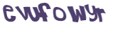 CAPTCHA 挑戰