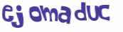 Wyzwanie captcha