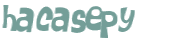Wyzwanie captcha