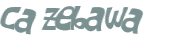 Wyzwanie captcha