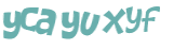 CAPTCHA 挑戰