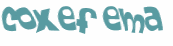 Captchafråga