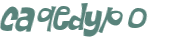 Captcha 챌린지
