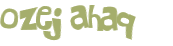 CAPTCHA 挑戰