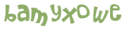 CAPTCHA 挑戰