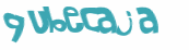 Desafio captcha
