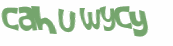 Desafio Captcha