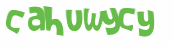 Captcha 챌린지