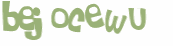 CAPTCHA 挑戰