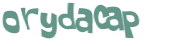 Captcha 챌린지