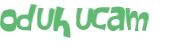 CAPTCHA-haaste